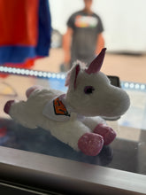 Load image into Gallery viewer, 20RT Plushies
