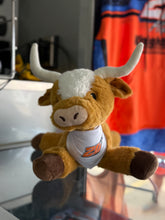 Load image into Gallery viewer, 20RT Plushies
